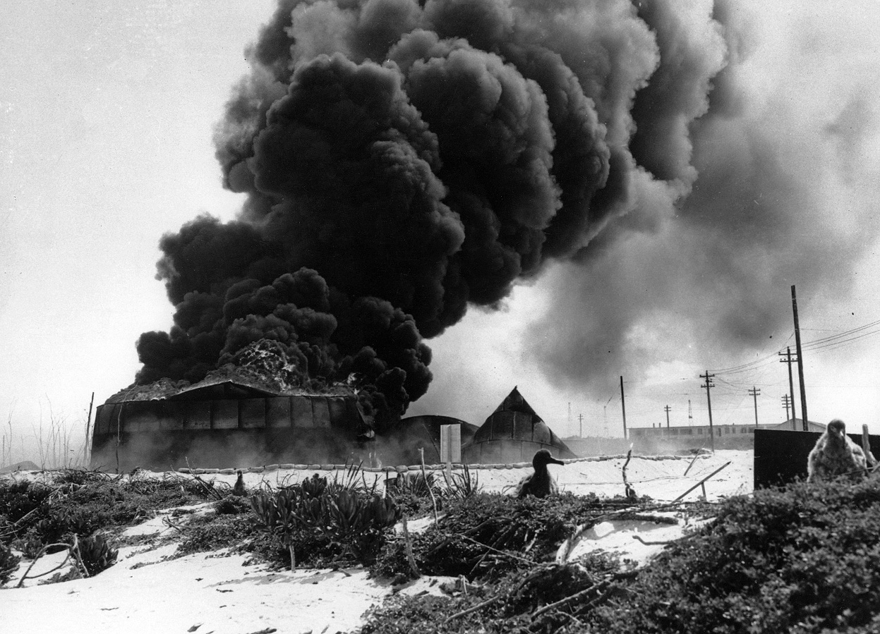 Black smoke billows over burning buildings on Sand Island, Midway, following the Japanese air attack on June 4, 1942. Two albatross chicks stand in the foreground, indifferent to the destruction behind them.
