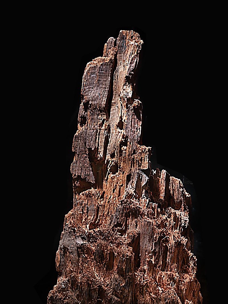 The Spotsylvania Stump